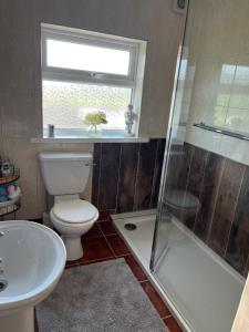 a bathroom with a toilet and a shower and a sink at Pegs Cottage in Clonmel +15 photos