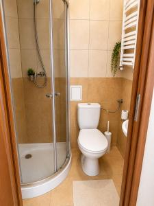 a bathroom with a toilet and a shower at Zajazd Nadmorski in Stegna