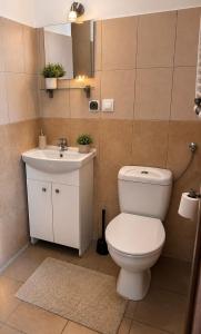 a bathroom with a toilet and a sink at Zajazd Nadmorski in Stegna