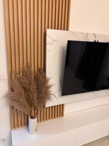 a tv sitting on top of a counter with a plant at Apartment by Bar in Bar