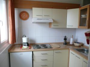 Kuchyň nebo kuchyňský kout v ubytování Apartments Toni, Borik