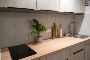 a kitchen counter with a potted plant on it at Kay Canou - Vue jardin tropical - Calme & nature in Le Robert