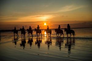 a group of people riding horses on the beach at sunset at FBC Roms Business in Rødby