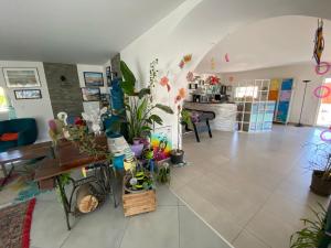 a living room filled with lots of plants at La maison multicolore in Livron-sur-Drôme