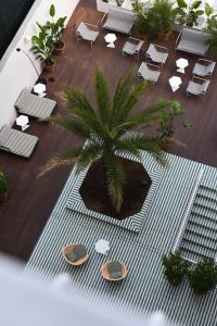 a palm tree on a floor with chairs and tables at Grand Hotel Flora in Sorrento