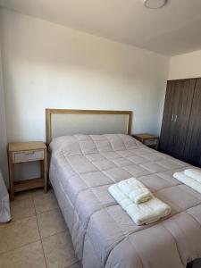 a bedroom with a large bed with towels on it at Amelie 4 in General Roca +11 photos
