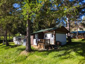 a small shed in a field with a tree at Camping montagne in Camurac