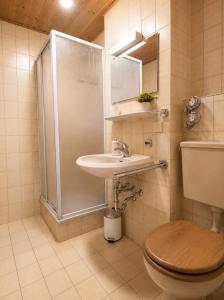 a bathroom with a shower and a toilet and a sink at Falkenstein Loft 55 in Zwiesel