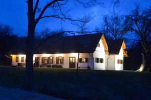 ein weißes Haus mit Licht in einem Hof in der Nacht in der Unterkunft Weinek's Kellerstöckl u. Lodge in Güssing
