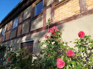 a building with red roses in front of a building at Ferienwohnung Prignitzhof in Plattenburg +1 photo