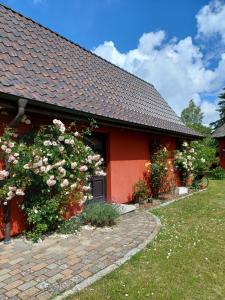 a red house with pink roses in front of it at Ferienhaus Rümdriewer in Pruchten