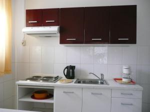 Kuchyň nebo kuchyňský kout v ubytování Apartments Toni, Borik