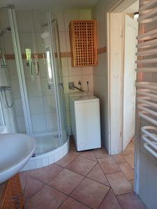 a bathroom with a shower and a sink at Ferienhaus Rümdriewer in Pruchten +7 photos