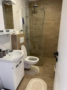 a bathroom with a toilet and a sink and a shower at Nest apartman 2 in Veliko Gradište