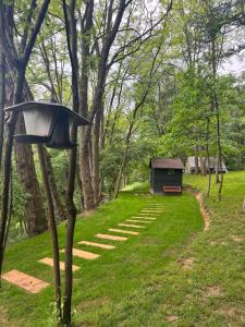 a light on a tree next to a path at Sanovia Glamping Max in Reczpol