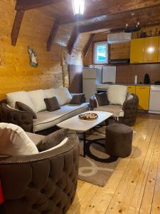 a living room with couches and a table and a kitchen at Romantika in Šavnik