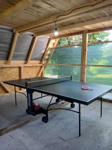 a ping pong table in a room in a house at Perla Argesului, hotel romantic elegant cu piscina, sport, petreceri, natura, curte, gradina, priveliste, parcare, cazare Transfăgarasan Curtea de Arges in Albestii de Arges