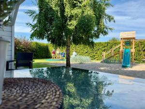 a pool with a tree and a playground at Bla Marine Domki nad Morzem in Grzybowo