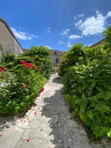 a garden with red flowers and a pathway at Studio cosy avec jardin privé - Proche de tout ! in Montbard