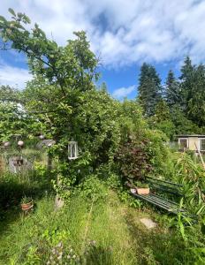 a garden with a bench in the grass at Ferienwohnung Prignitzhof in Plattenburg