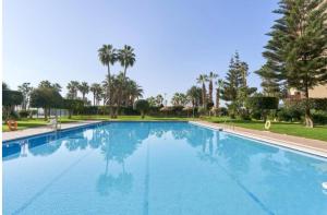 a large blue swimming pool with palm trees in the background at Atico estudio en 1°linea Almuñecar in Almuñécar +19 photos