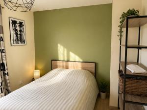 a bedroom with a bed and a green wall at Villa Mathilde - 3 Chambres - Jacuzzi in Béziers +49 photos