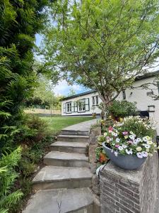 a garden path leading to a house with a tree at Cosy Studio naast station vlak bij Brussel in Hoeilaart