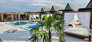 a resort with a palm tree next to a pool at Elysium Lozenets in Lozenets