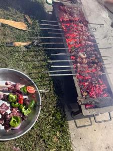 a grill with meat and vegetables on it at Ameer lodge in Hunza Valley