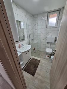 a bathroom with a shower and a sink and a toilet at Apartmani Milojević in Boljevac +18 photos