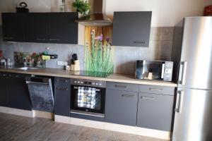 a kitchen with black cabinets and a stainless steel refrigerator at Erholung am Lehmooserhof in Gnadenwald