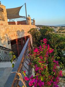 a balcony with pink flowers on a building at مزرعة لافين in Jerash +5 photos