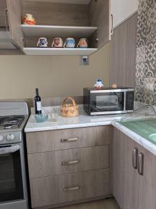 a kitchen with a microwave oven and a counter top at Chepicche Inn in Oaxaca City