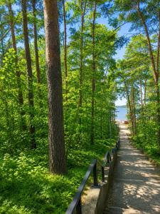 a path in a park with benches next to a tree at Lake House Mierzyn in Mierzyn