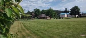 a large grassy field with houses in the background at Domki Żaklin in Berezka