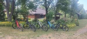a group of bikes parked in a row in a yard at Domki Żaklin in Berezka