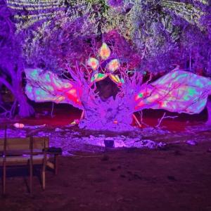 a tree lit up at night with lights at Camping Shpella e Pirateve in Lukovë
