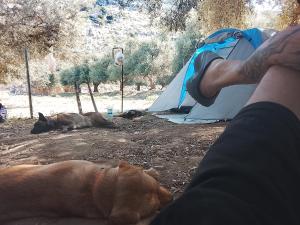 a man and a dog laying in front of a tent at Camping Shpella e Pirateve in Lukovë
