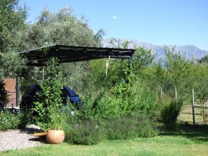 a garden with a wooden pergola in the grass at Almahue in Quebrada de los Pozos