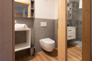 a bathroom with a toilet and a shower at Resi´s Stadthaus in Kitzbühel