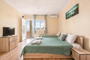 a bedroom with a large bed and a television at Apartments by Proshevi in Star Dojran +27 photos