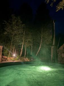 a heated swimming pool at night with lights at Sigła w sidłach in Aleksandrów