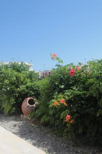 a garden with flowers and a large vase at Anemomilos View in Koskinou +53 photos