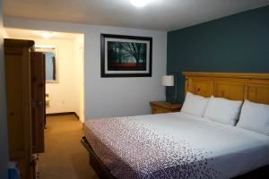 a bedroom with a bed and a blue wall at Juniper Motel Madras in Madras