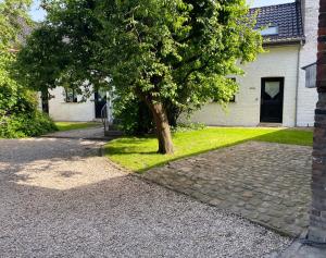 a tree in front of a house with a driveway at La cour des hôtes in Fenain