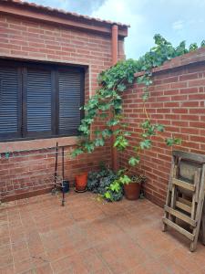 a brick wall with a tree and some plants at SumayWasi in Tilcara