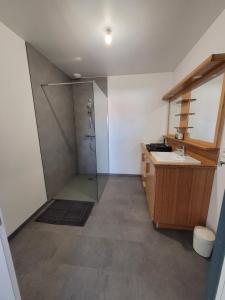 a bathroom with a shower and a sink at Les écuries in Secondigny +30 photos