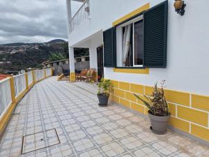 a balcony of a house with potted plants and a window at Sol e Mar by the airport in Santa Cruz