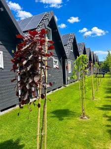 a row of trees in front of a house at Domeczki Blaneczki Wicie - domki letniskowe nad morzem in Wicie