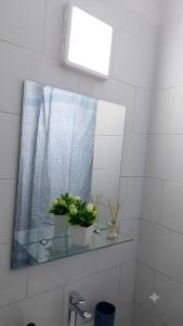 a bathroom with a mirror and a potted plant on a shelf at Dpto céntrico en primer piso in Valdivia